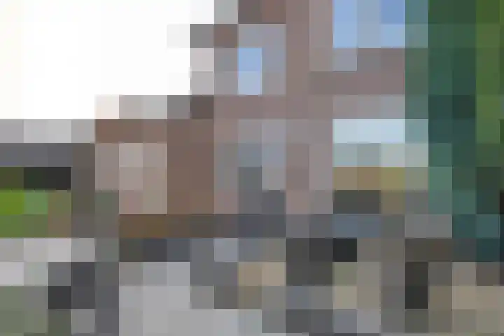 Volmolenweg 60 Eerbeek thumbnail 29