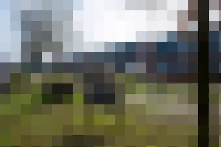 Volmolenweg 60 Eerbeek thumbnail 33