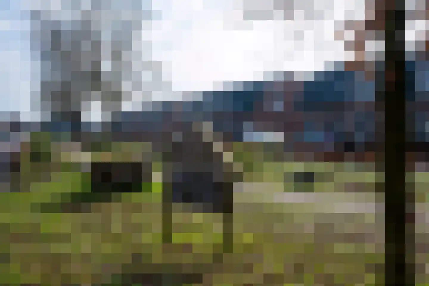 Volmolenweg 60 Eerbeek thumbnail 33