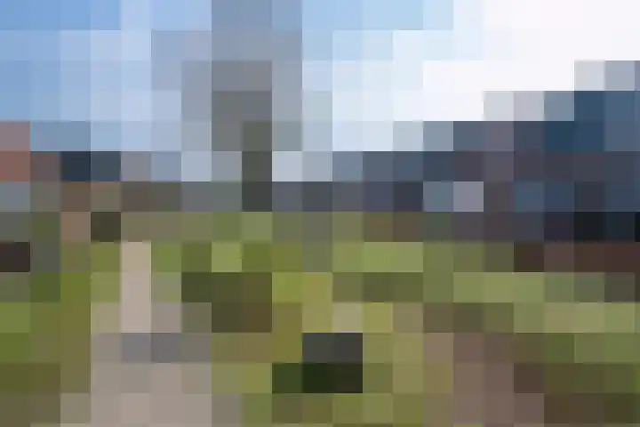 Volmolenweg 60 Eerbeek thumbnail 35