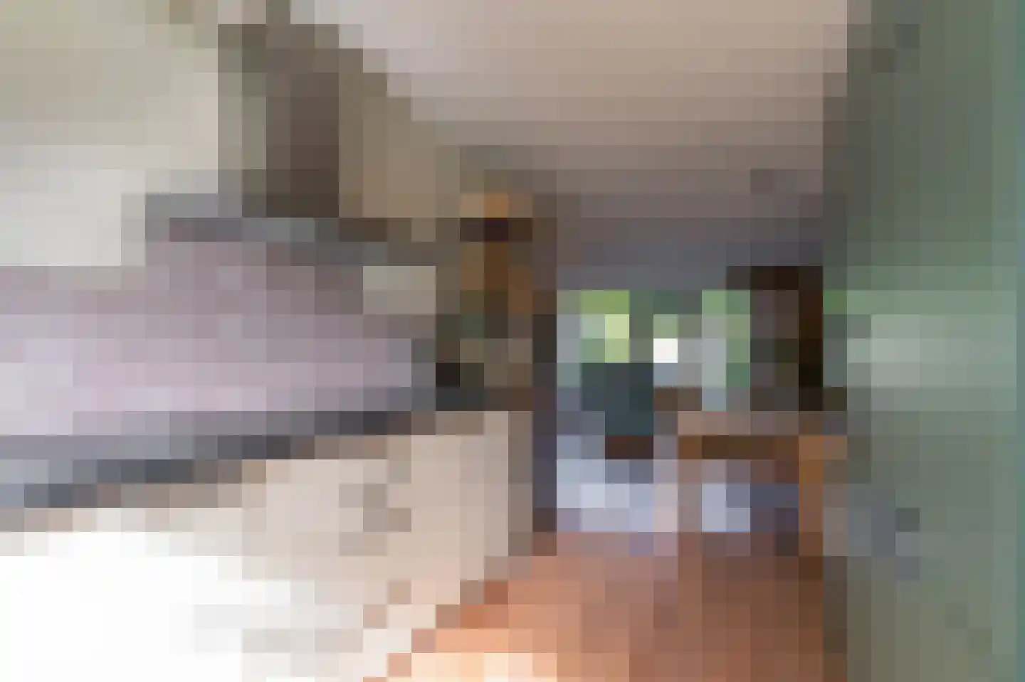Volsellastraat 10 Nijmegen thumbnail 11
