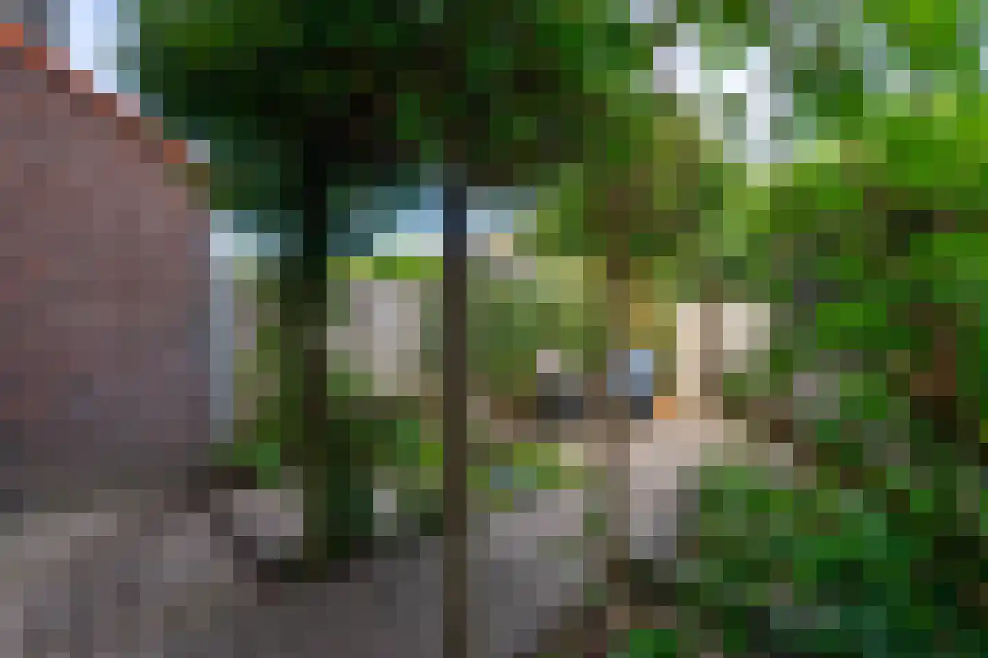 Volsellastraat 10 Nijmegen thumbnail 15