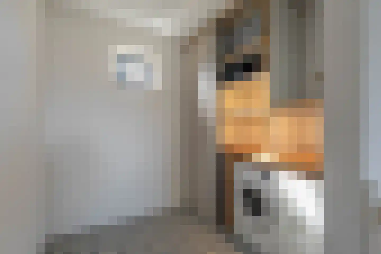 Volsellastraat 10 Nijmegen thumbnail 41