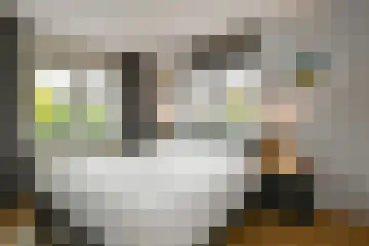Volsellastraat 14 Nijmegen thumbnail 16