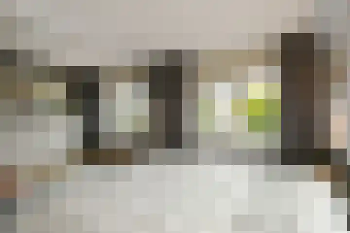 Volsellastraat 14 Nijmegen thumbnail 17