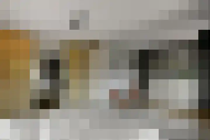 Volsellastraat 14 Nijmegen thumbnail 18