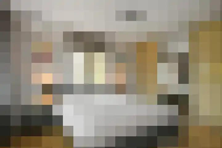 Volsellastraat 14 Nijmegen thumbnail 21