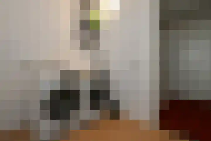 Volsellastraat 14 Nijmegen thumbnail 31