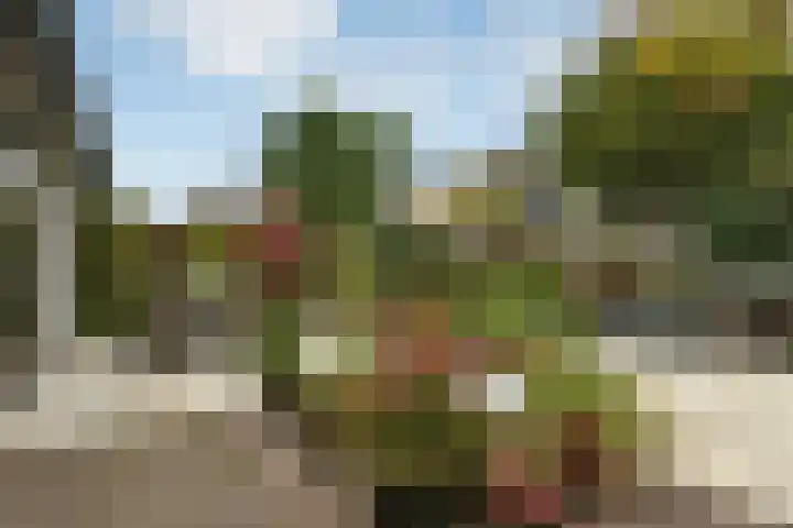 Volsellastraat 14 Nijmegen thumbnail 32
