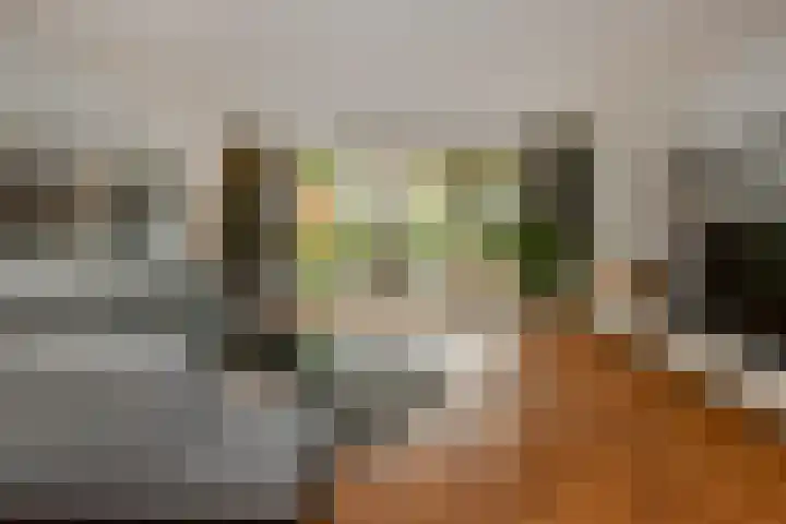 Volsellastraat 14 Nijmegen thumbnail 4