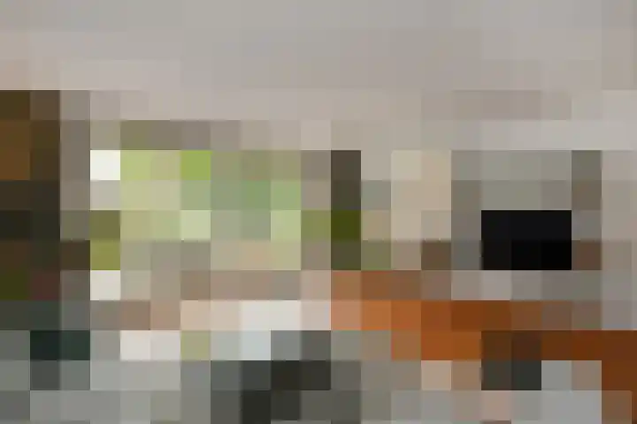 Volsellastraat 14 Nijmegen thumbnail 5