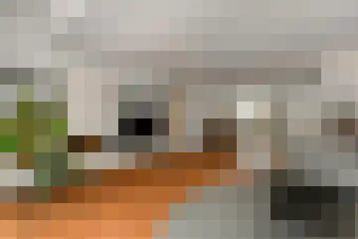 Volsellastraat 14 Nijmegen thumbnail 6