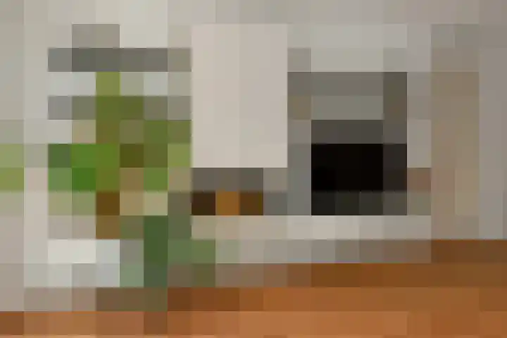 Volsellastraat 14 Nijmegen thumbnail 7