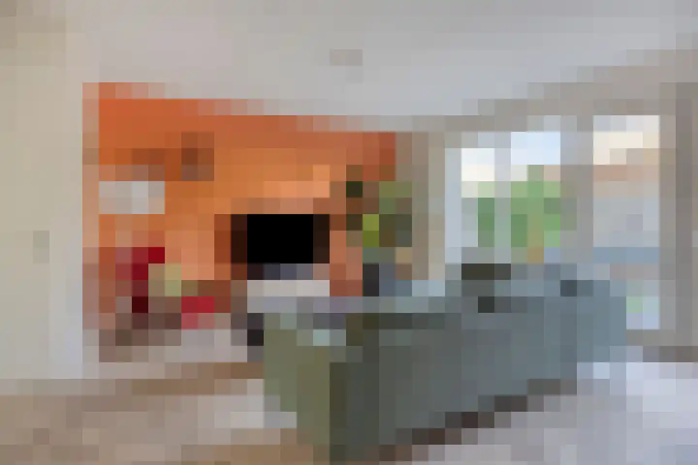 Volsellastraat 20 Nijmegen thumbnail 8