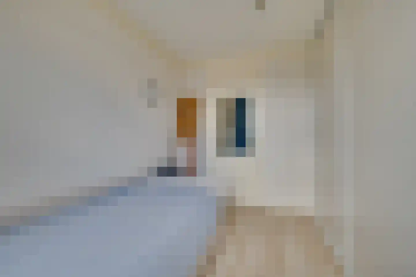 Voltairestraat 12 Apeldoorn thumbnail 18