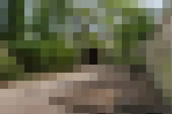 Voltairestraat 30 Apeldoorn thumbnail 29
