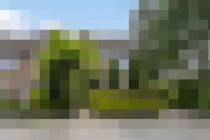 Voltairestraat 30 Apeldoorn thumbnail 33