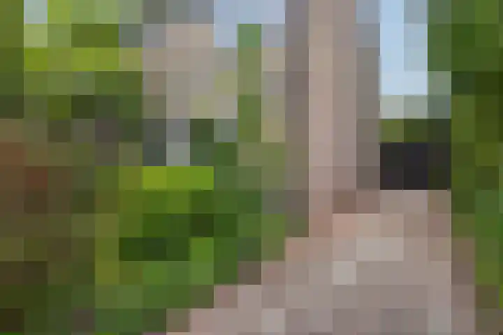 Voltairestraat 30 Apeldoorn thumbnail 4