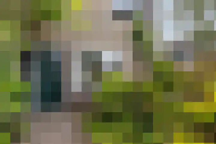 Voltairestraat 30 Apeldoorn thumbnail 5
