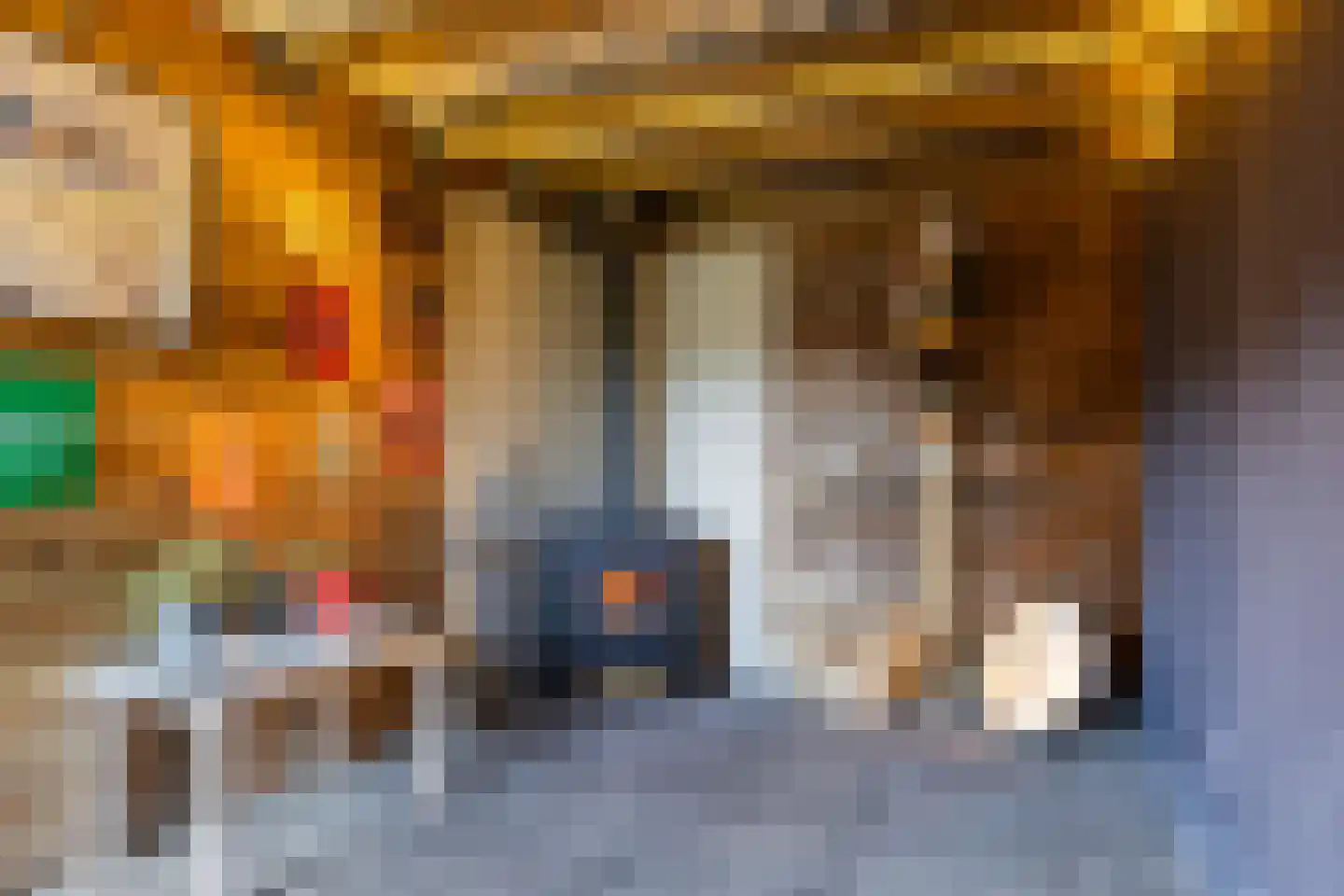 Voltairestraat 43 Apeldoorn thumbnail 18