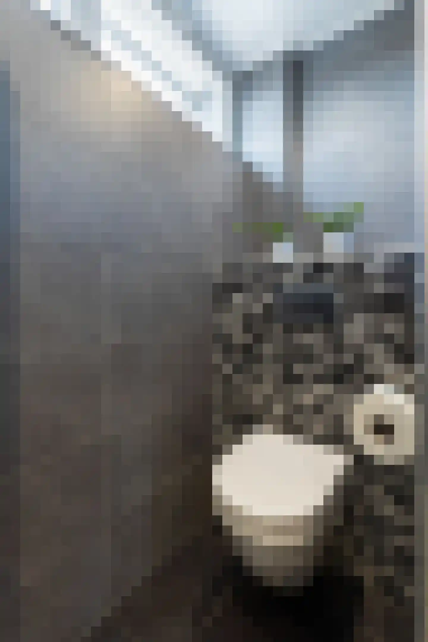 Voltairestraat 43 Apeldoorn thumbnail 35