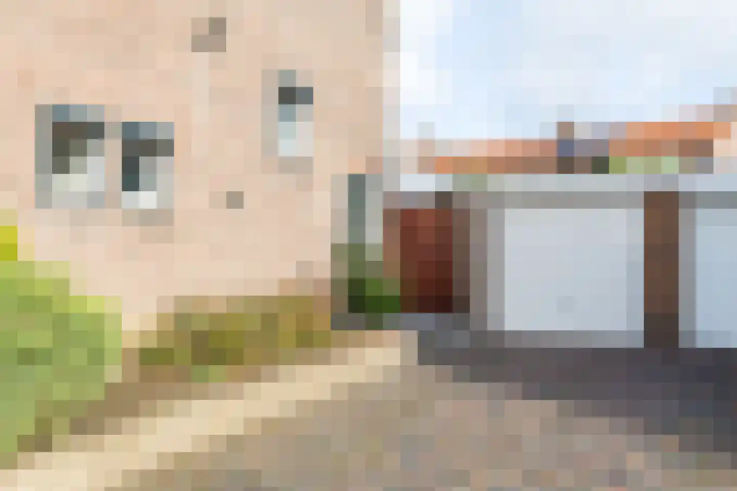 Voltalaan 15 Hoensbroek thumbnail 47