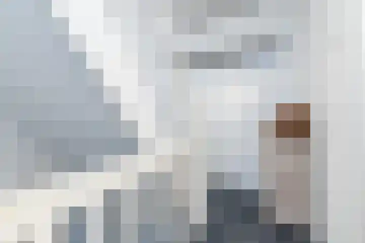 Voltalaan 32 Hoensbroek thumbnail 17