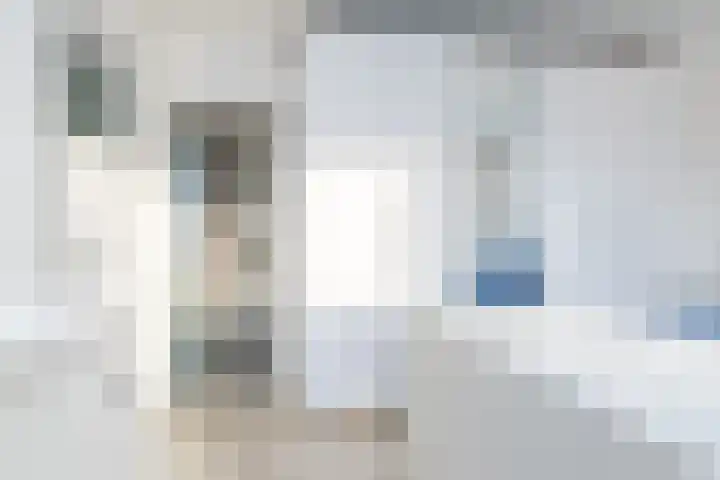 Voltalaan 32 Hoensbroek thumbnail 20