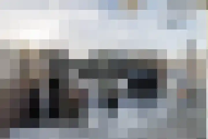 Voltalaan 32 Hoensbroek thumbnail 37