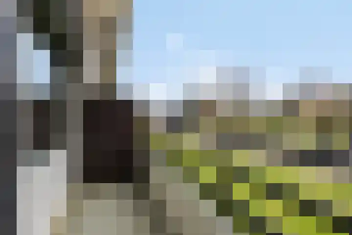 Voltastraat 1 Apeldoorn thumbnail 11