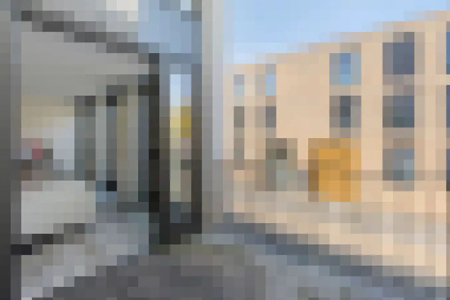 Voltastraat 102 's-Hertogenbosch thumbnail 11
