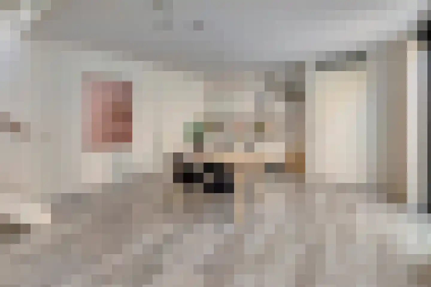 Voltastraat 102 's-Hertogenbosch thumbnail 4