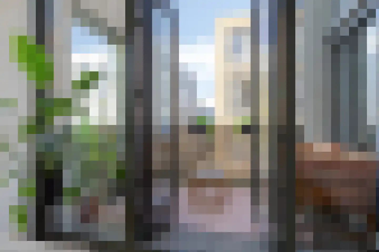 Voltastraat 106 's-Hertogenbosch thumbnail 9