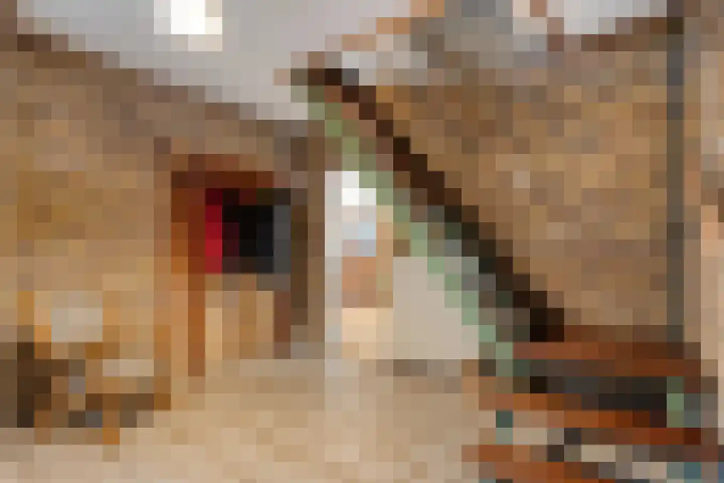Voltastraat 11 Hoogeveen thumbnail 15