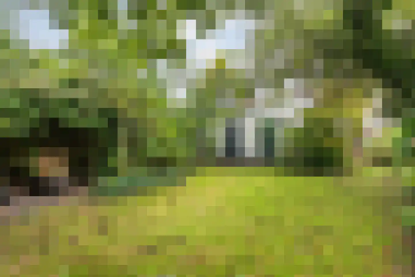 Voltastraat 11 Hoogeveen thumbnail 49