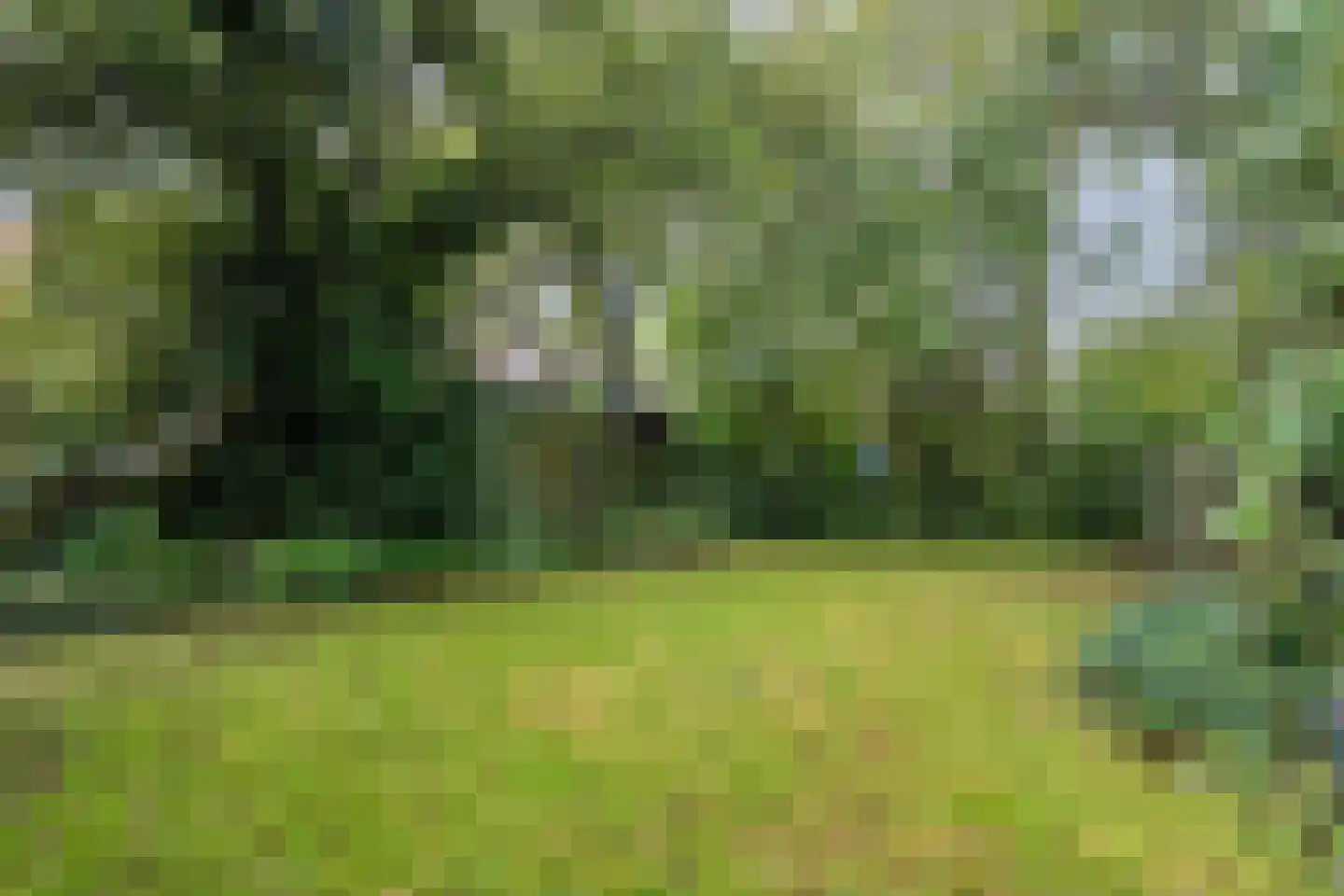 Voltastraat 11 Hoogeveen thumbnail 51