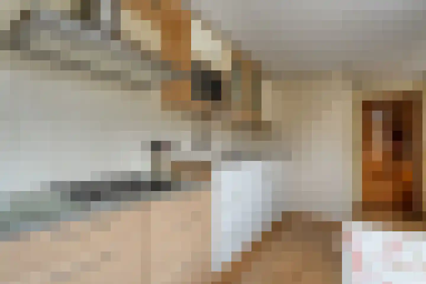 Voltastraat 11 Hoogeveen thumbnail 6