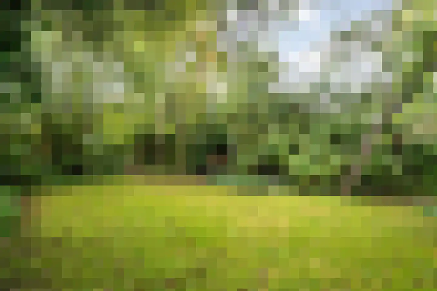 Voltastraat 11 Hoogeveen thumbnail 8