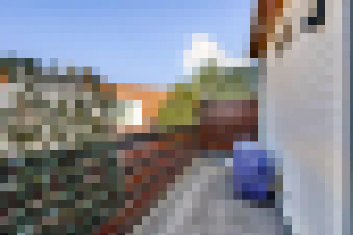 Voltastraat 12 A Schiedam thumbnail 15