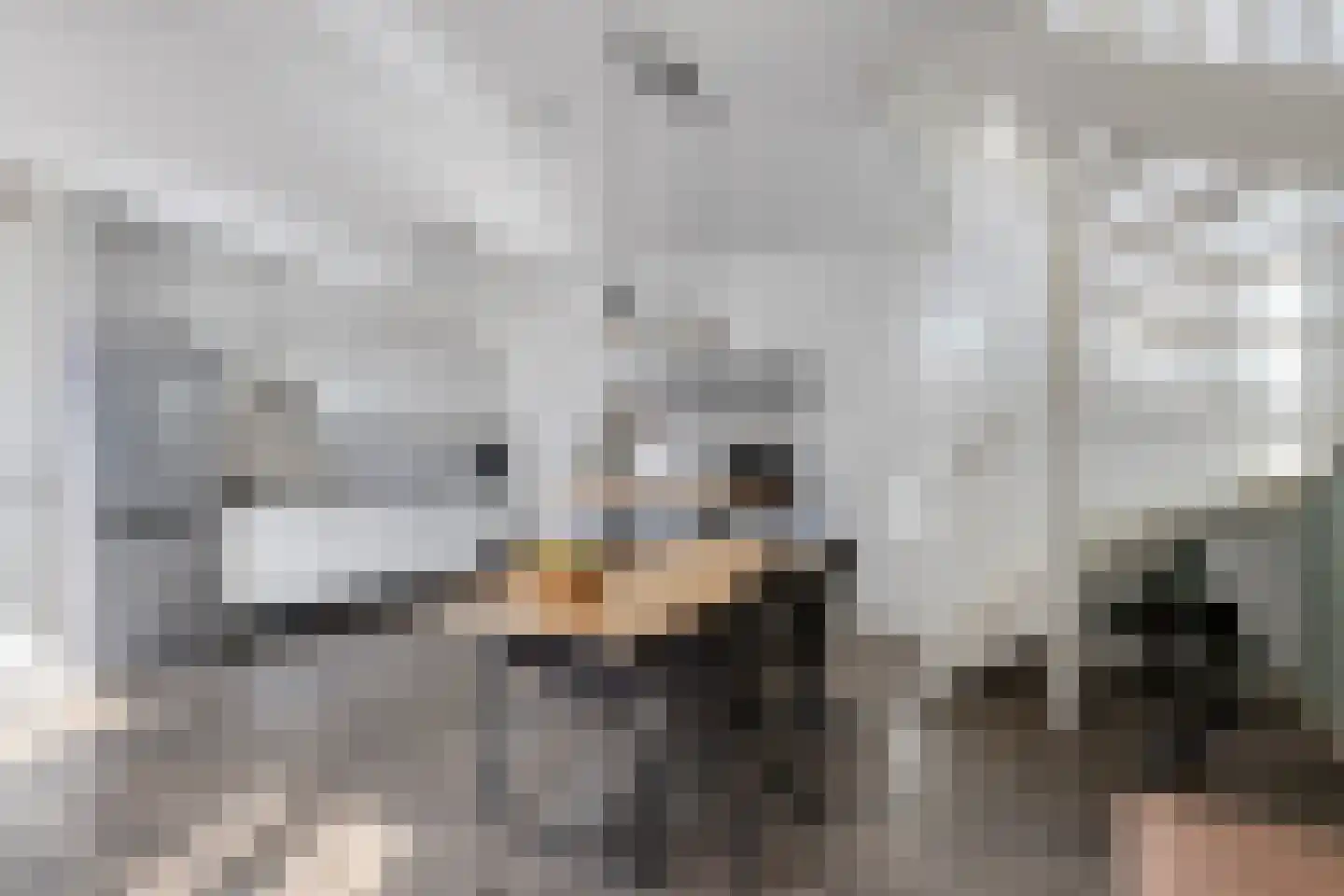 Voltastraat 150 's-Hertogenbosch thumbnail 4