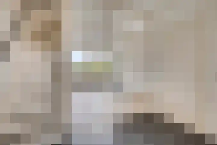 Voltastraat 17 Apeldoorn thumbnail 15