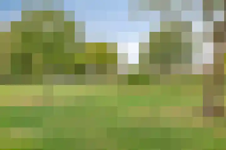 Voltastraat 17 Apeldoorn thumbnail 35