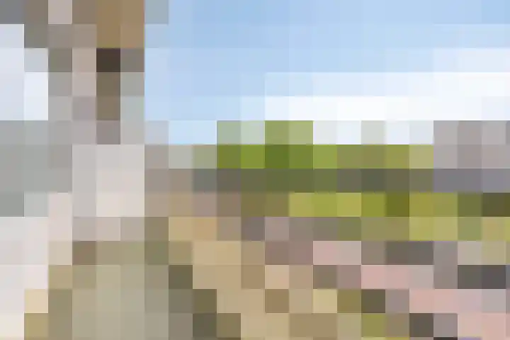 Voltastraat 17 Apeldoorn thumbnail 7