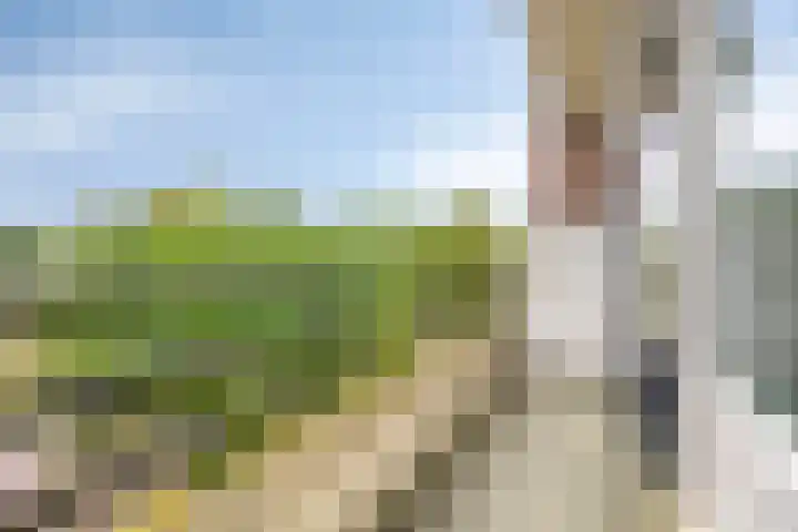 Voltastraat 17 Apeldoorn thumbnail 8