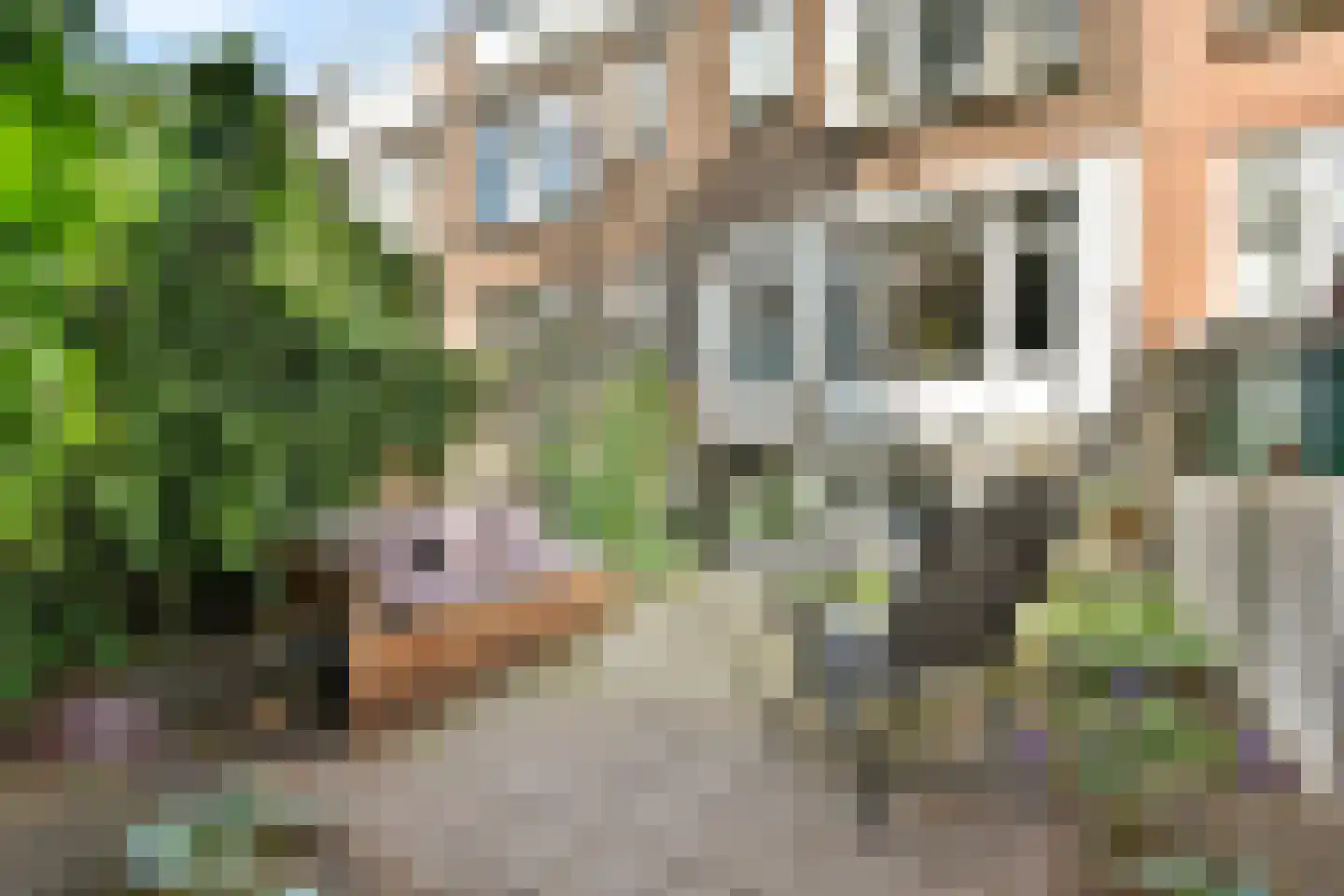 Voltastraat 18 B Schiedam thumbnail 9