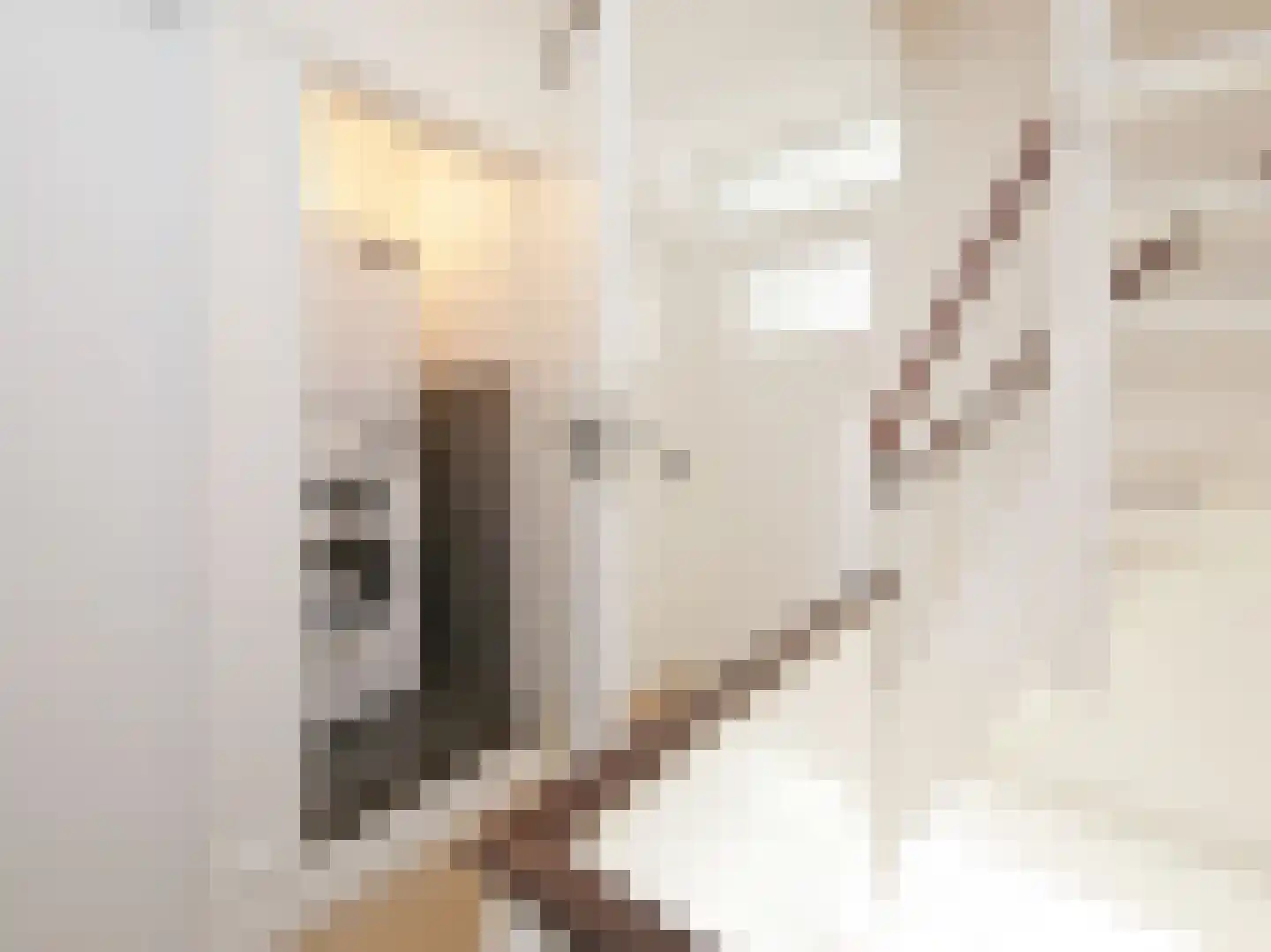 Voltastraat 19 Badhoevedorp thumbnail 22