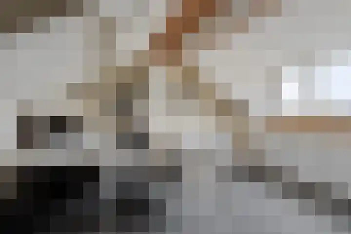 Voltastraat 2 a Roosendaal thumbnail 4