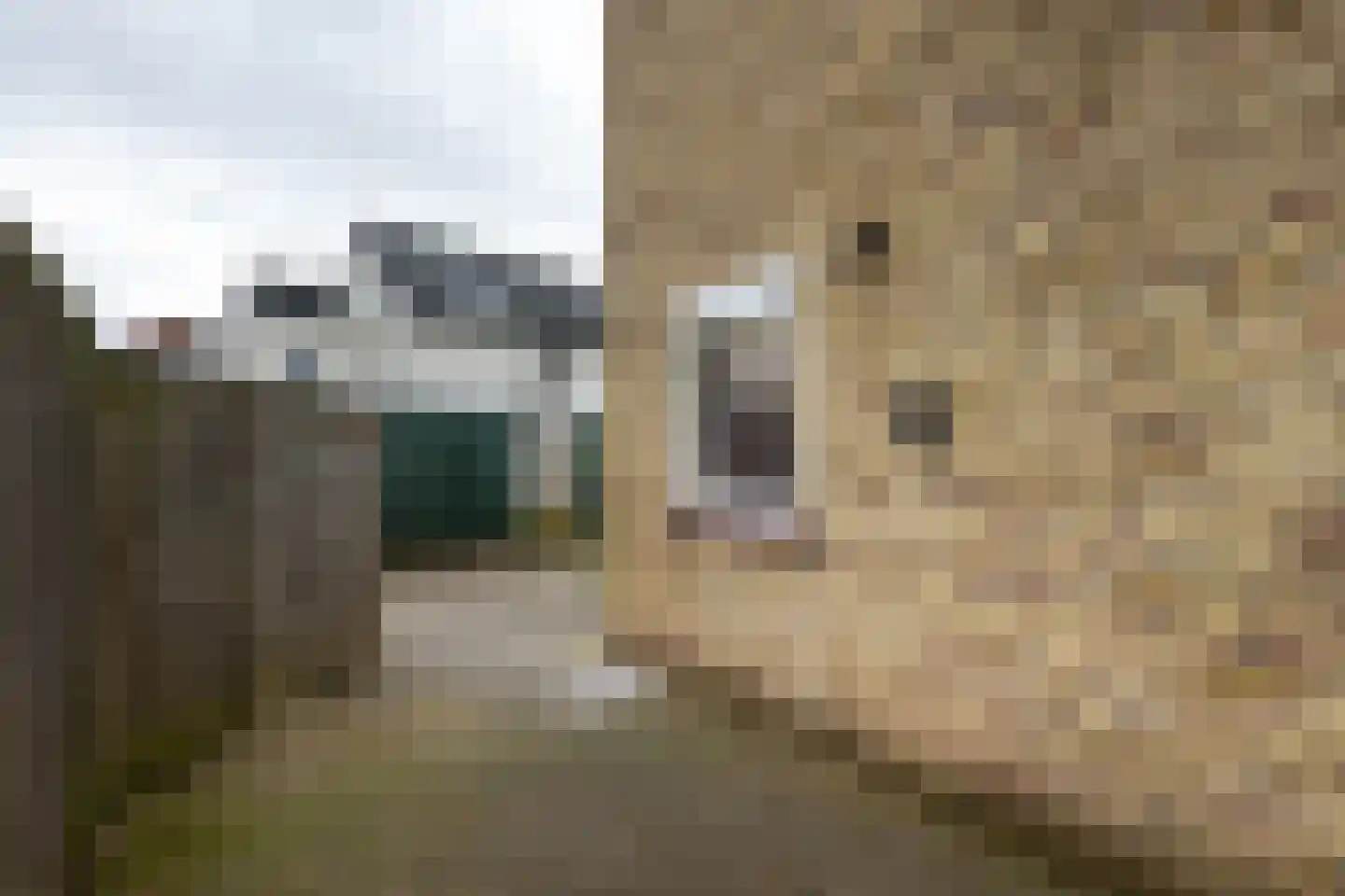 Voltastraat 2 b Roosendaal thumbnail 29