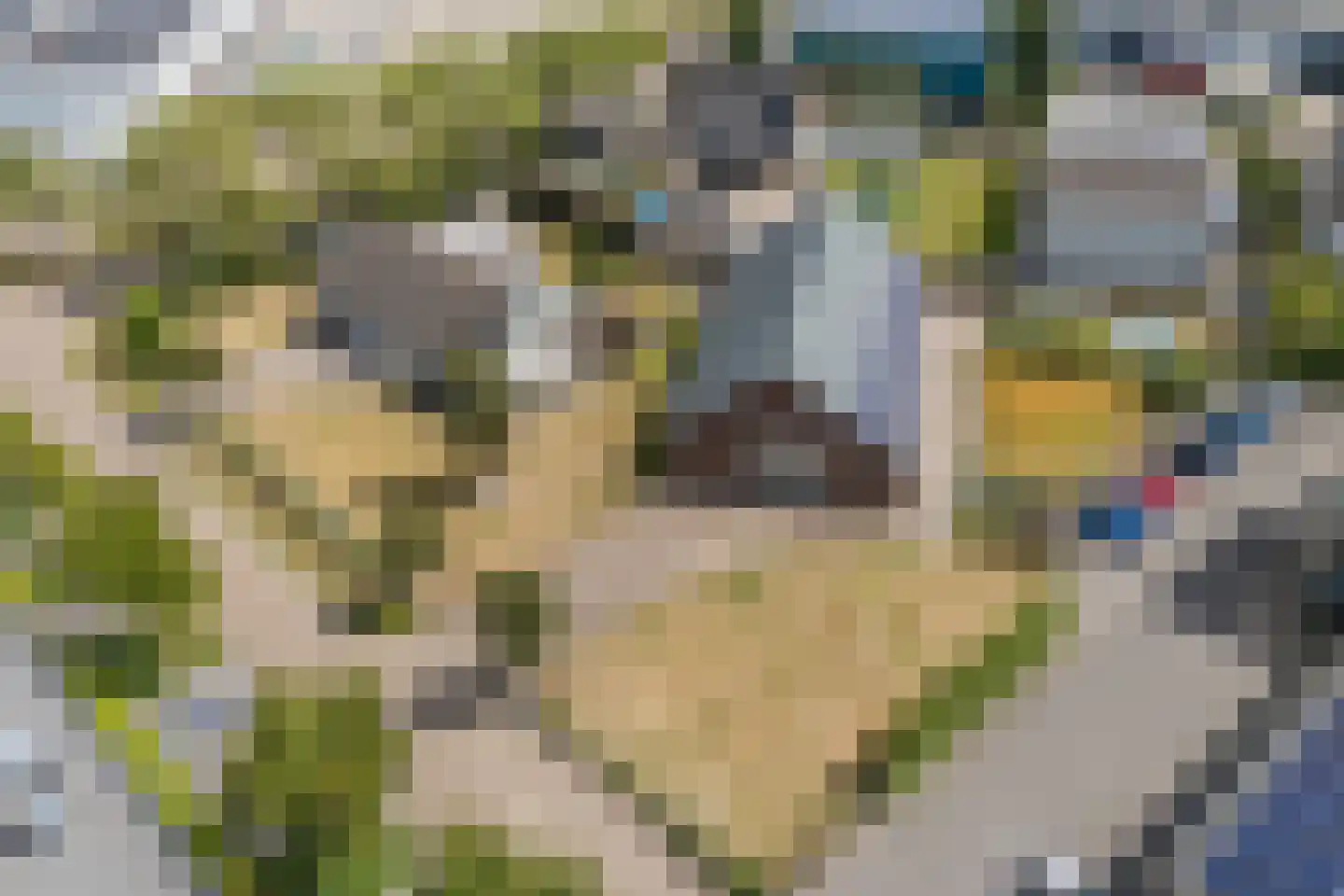 Voltastraat 20 Bergen op Zoom thumbnail 100