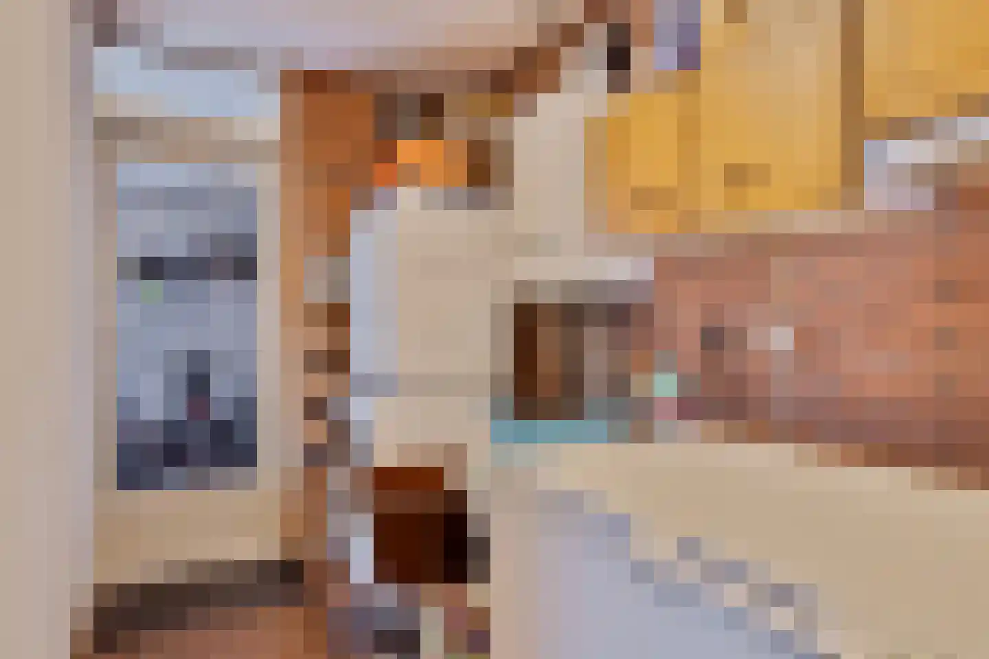 Voltastraat 20 Bergen op Zoom thumbnail 26